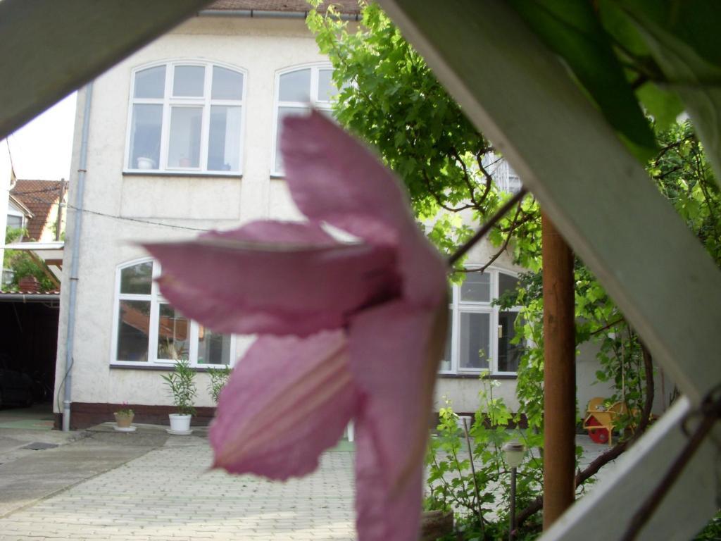 Garden Szivarvany Utcai Vendeghaz Szeged Eksteriør billede